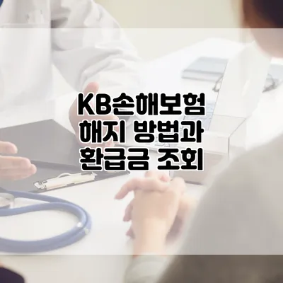 KB손해보험 해지 방법과 환급금 조회