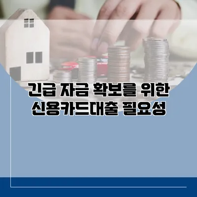 긴급 자금 확보를 위한 신용카드대출 필요성