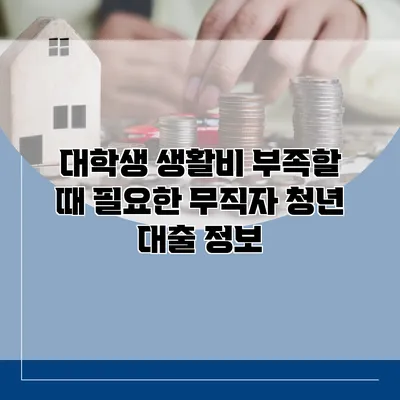 대학생 생활비 부족할 때 필요한 무직자 청년 대출 정보