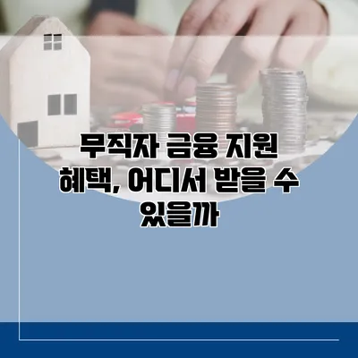 무직자 금융 지원 혜택, 어디서 받을 수 있을까?