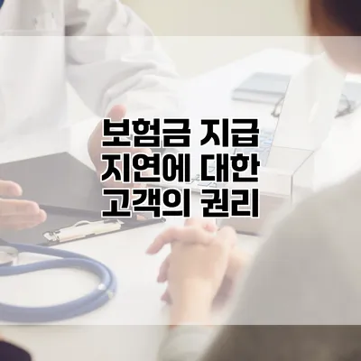 보험금 지급 지연에 대한 고객의 권리