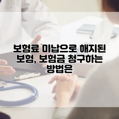 보험료 미납으로 해지된 보험, 보험금 청구하는 방법은?