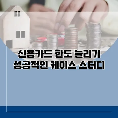 신용카드 한도 늘리기 성공적인 케이스 스터디