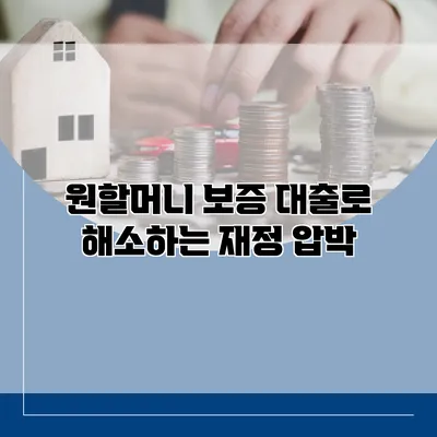 원할머니 보증 대출로 해소하는 재정 압박