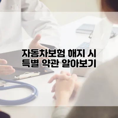 자동차보험 해지 시 특별 약관 알아보기