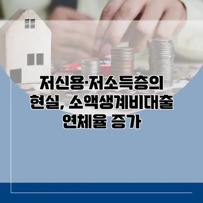 저신용·저소득층의 현실, 소액생계비대출 연체율 증가