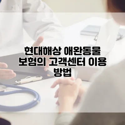 현대해상 애완동물 보험의 고객센터 이용 방법