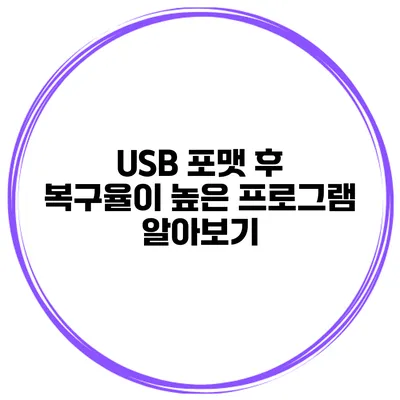USB 포맷 후 복구율이 높은 프로그램 알아보기