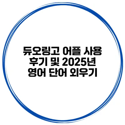 듀오링고 어플 사용 후기 및 2025년 영어 단어 외우기