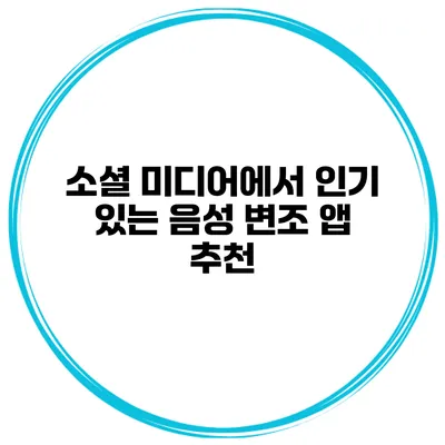 소셜 미디어에서 인기 있는 음성 변조 앱 추천