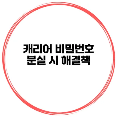 캐리어 비밀번호 분실 시 해결책